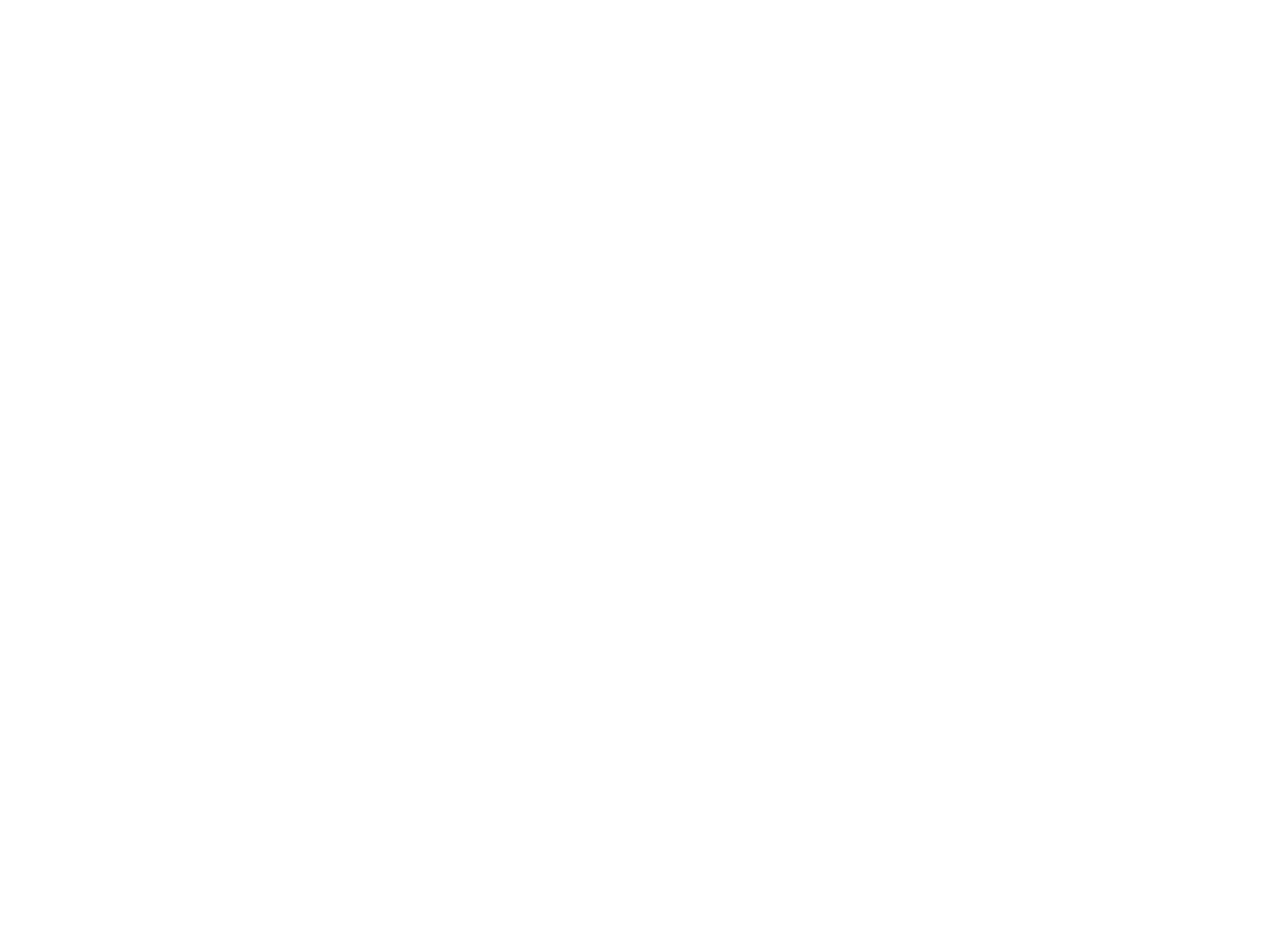 Firma del Fundador - Brian Silva Romero